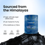 Gold Shilajit Energy Gummies