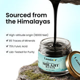 Pure Himalayan Shilajit Resin with Fulvic Acid