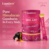 KSM-66 Ashwagandha Shilajit Gold Honey Sticks