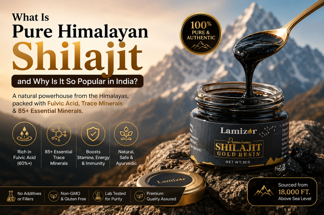What Is Pure Himalayan Shilajit and Why Is It So Popular in India?