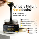 Himalayan Shilajit Gold Resin