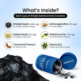 Gold Shilajit Energy Gummies
